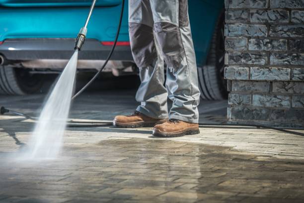 Best Winterizing Services  in Great Neck Gardens, NY