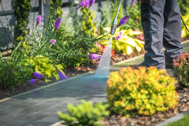 Best Gas Station Cleaning  in Great Neck Gardens, NY